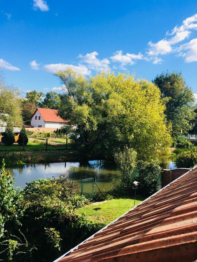 Apartman U Zamecke Dyje Lednice Luaran gambar